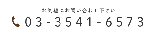 お気軽にお問い合わせ下さい 03-3541-6573